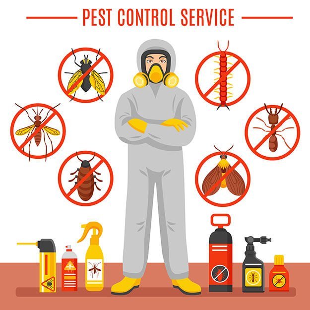 pest control treatment