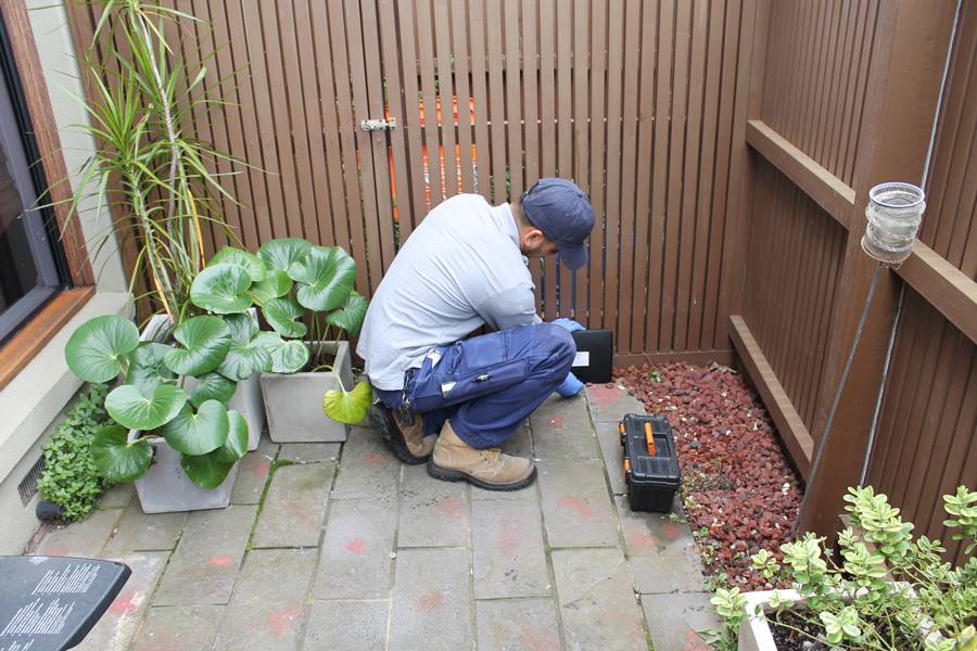pest control solutions in adelaide