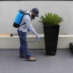 Pest Treatments In Adelaide